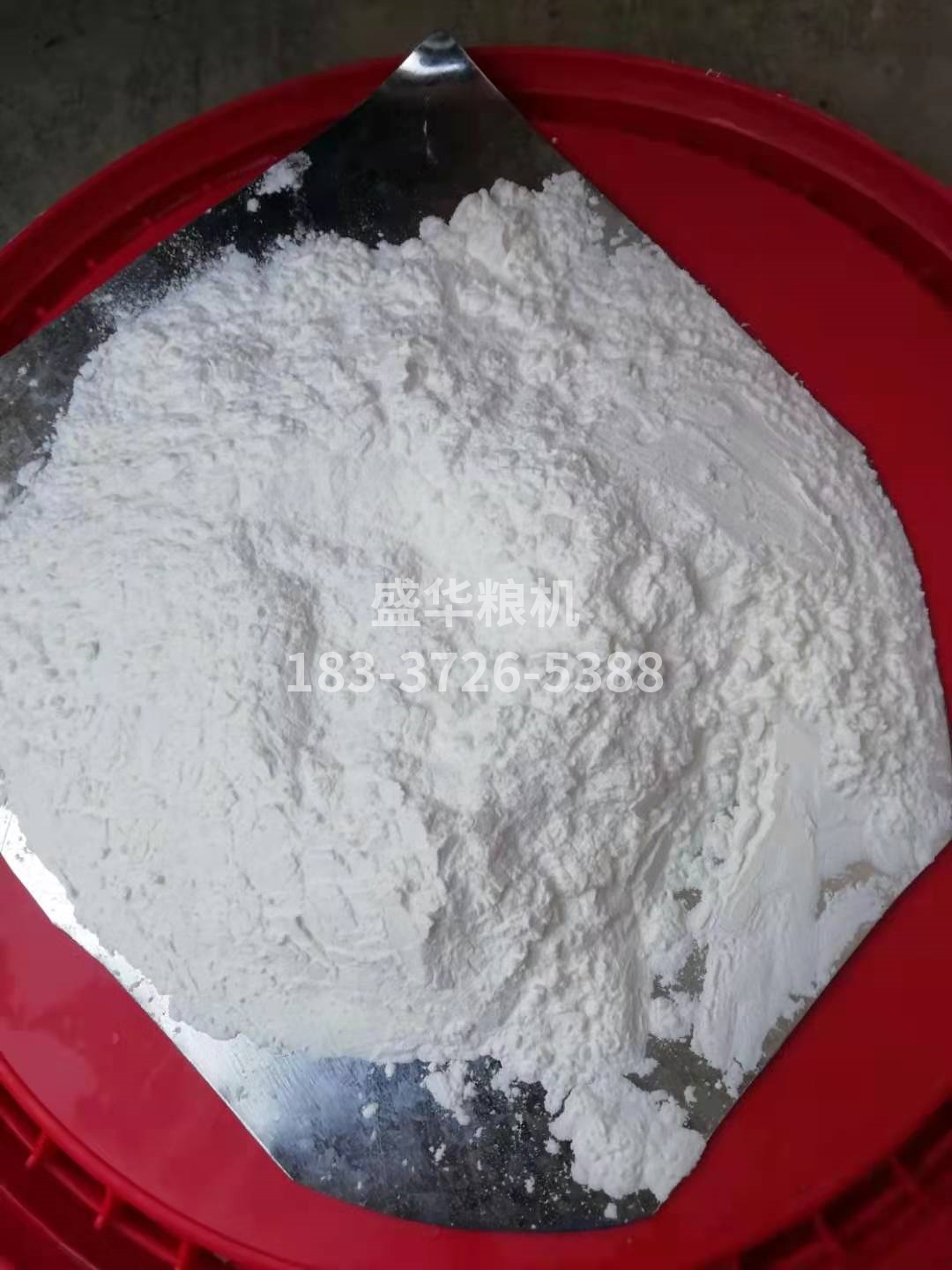 玉米面，玉米顆粒樣品